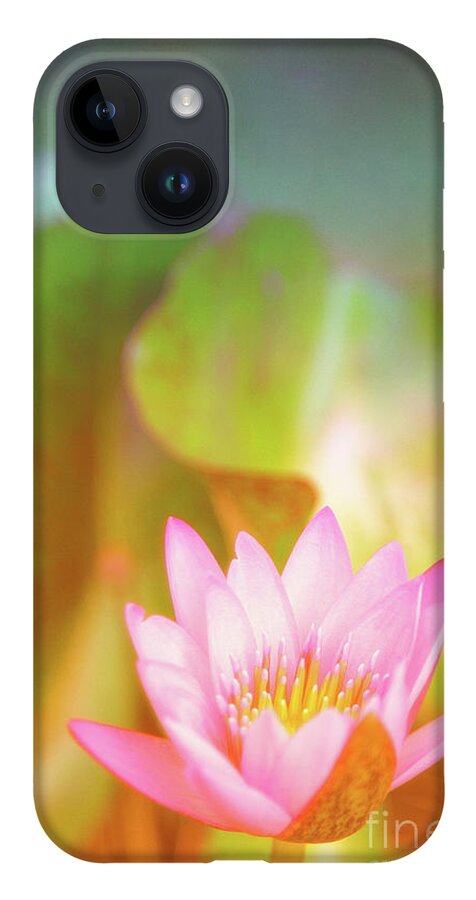 Pink Flower iPhone Case featuring the photograph Soft and Light 4 by Becqi Sherman