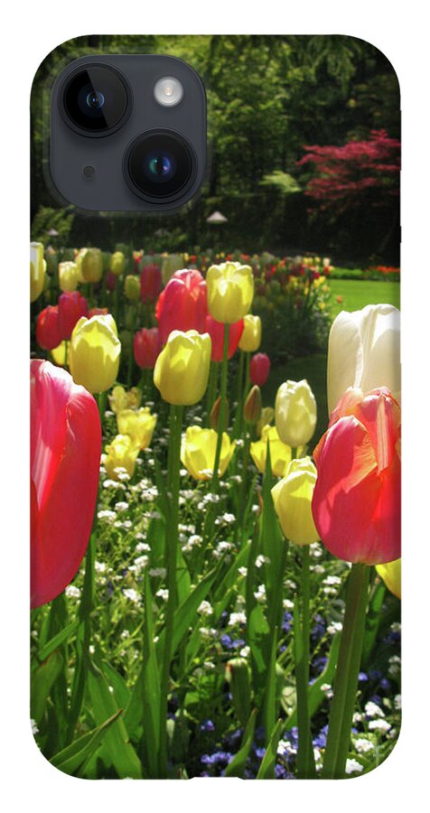 Tulip Gardens iPhone 14 Case featuring the photograph Spring Tulips by Terri Brewster