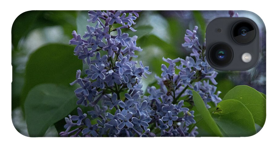 Close Up iPhone Case featuring the photograph Springtime Lilac by Jeff Folger