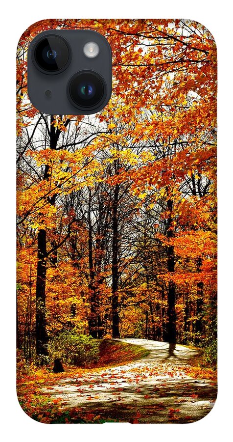Landscape iPhone 14 Case featuring the photograph Stowe Path in Fall Colors by Monika Salvan