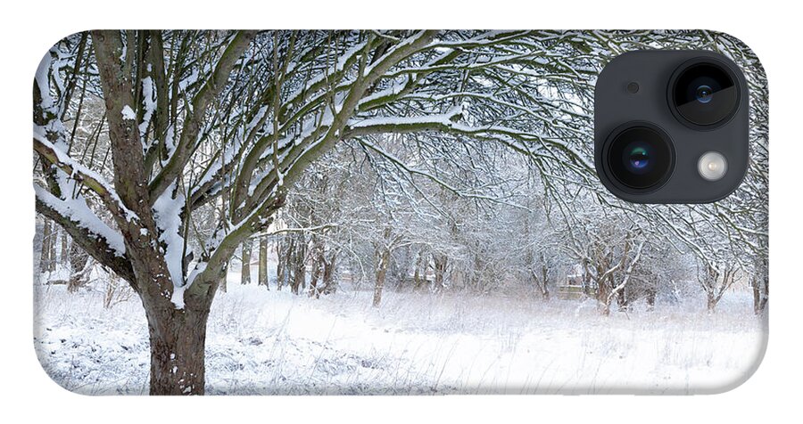 Norfolk iPhone Case featuring the photograph Stunning forest snow winter scene by Simon Bratt