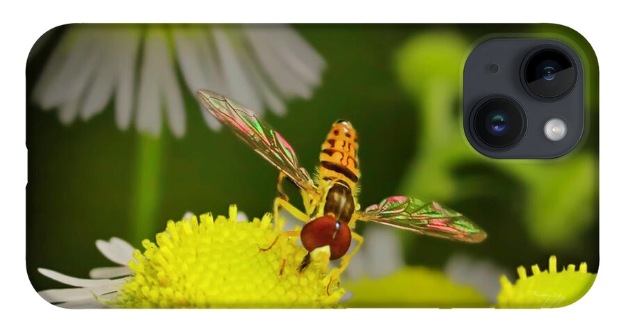 Macro Photography iPhone Case featuring the photograph Sugar Bee Wings by Meta Gatschenberger