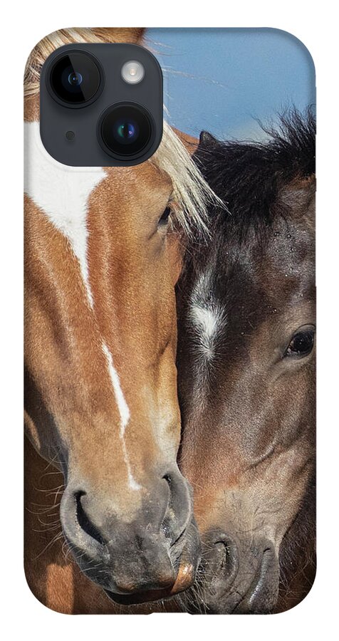  iPhone 14 Case featuring the photograph _T__5705b by John T Humphrey
