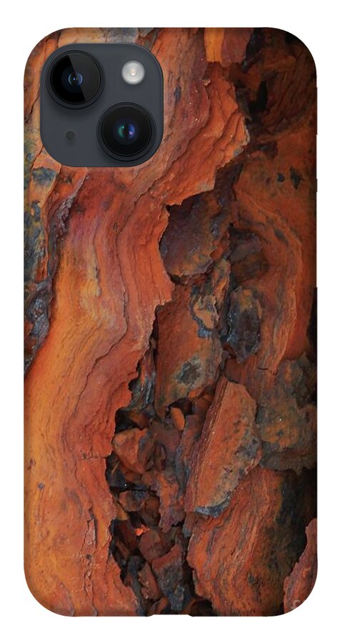  Beauty Of Rust iPhone Case featuring the photograph The Beauty of Rust by Marcia Lee Jones
