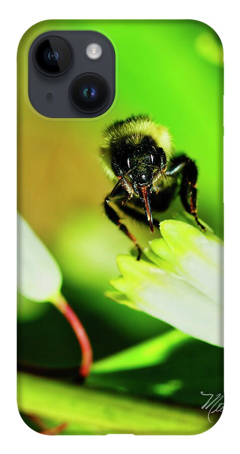Macro Photography iPhone Case featuring the photograph The bees knees by Meta Gatschenberger