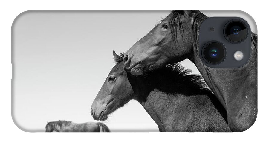 Stallion iPhone 14 Case featuring the photograph The Desolate Desert. by Paul Martin