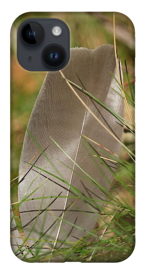 Sweden iPhone 14 Case featuring the pyrography The feather by Magnus Haellquist