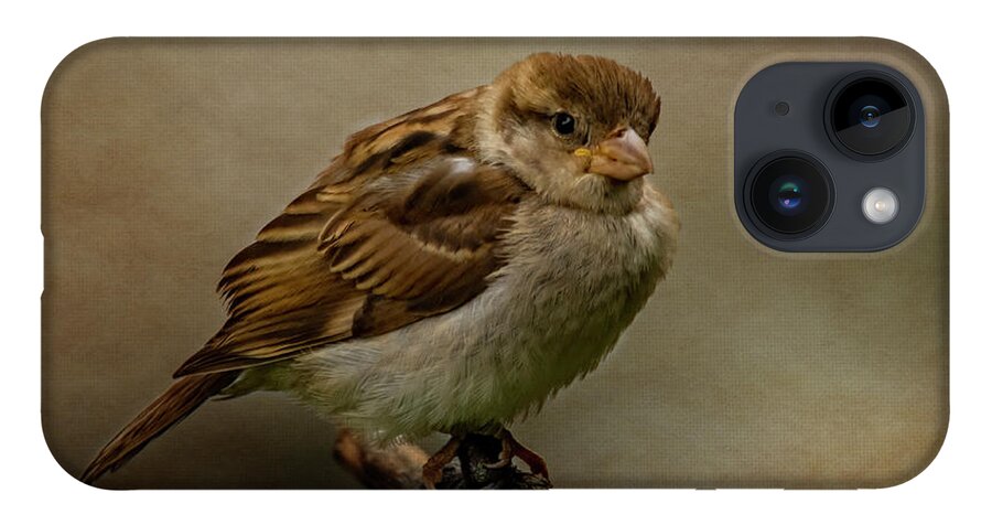 Bird iPhone 14 Case featuring the photograph The Fledgeling by Cathy Kovarik