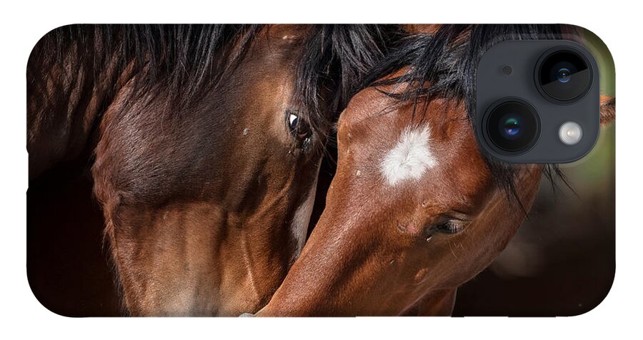 Stallion iPhone 14 Case featuring the photograph The Gaze. by Paul Martin
