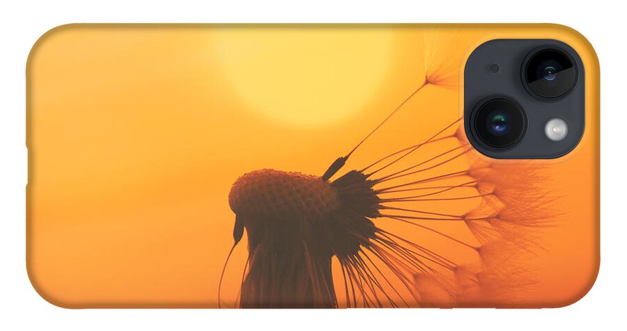 Sun iPhone Case featuring the photograph The Sun by Jaroslav Buna