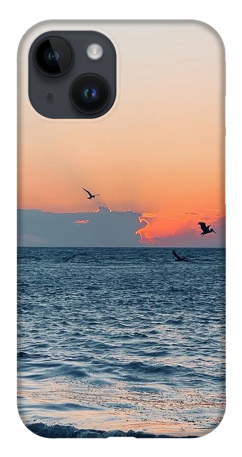 Birds iPhone 14 Case featuring the photograph Captiva Island The Sunset Seabird Feast 1 by Shelly Tschupp