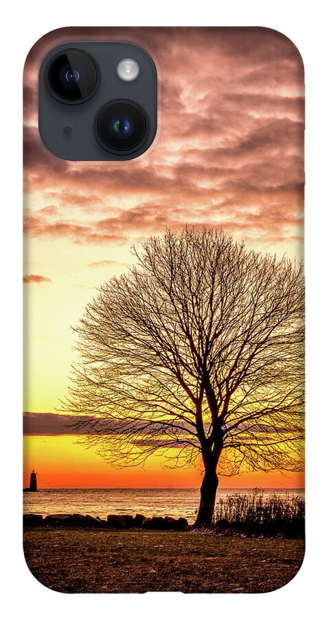 New Hampshire iPhone 14 Case featuring the photograph The Tree by Jeff Sinon