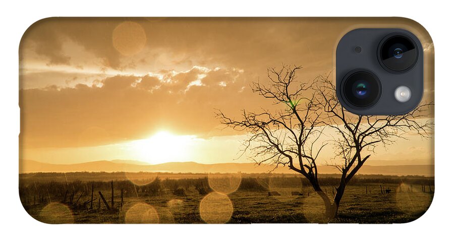 Sunset iPhone 14 Case featuring the photograph Tree Sunset by Wesley Aston