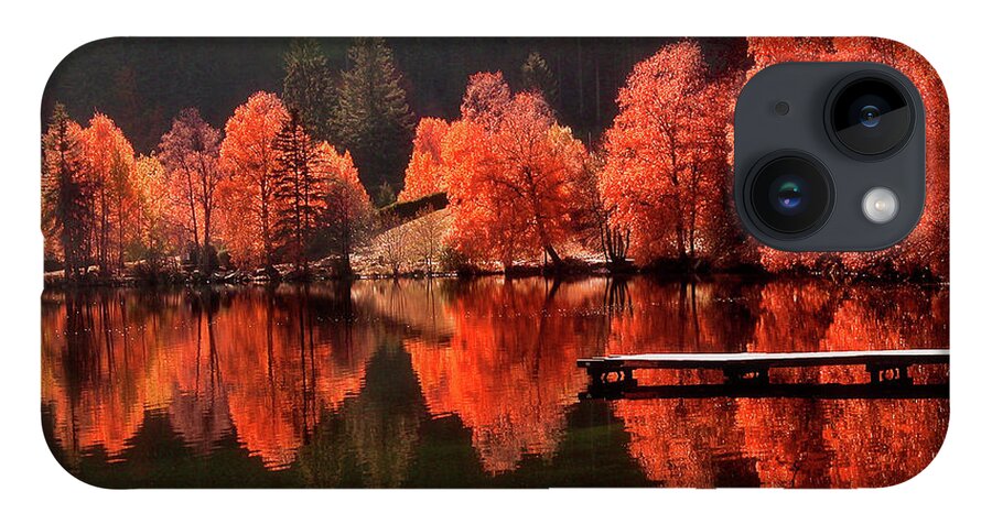 Autumn iPhone 14 Case featuring the photograph Trees Facing Trees by Philippe Sainte-Laudy