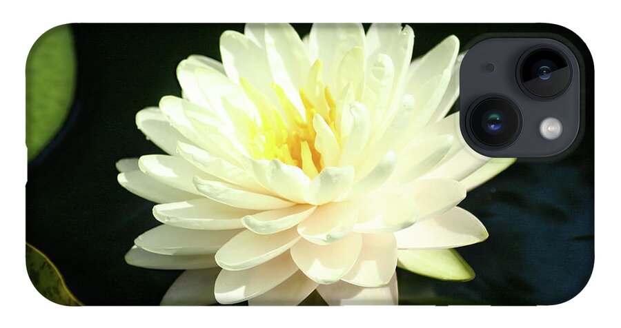 Flower iPhone 14 Case featuring the photograph Water Lily by Steve Karol