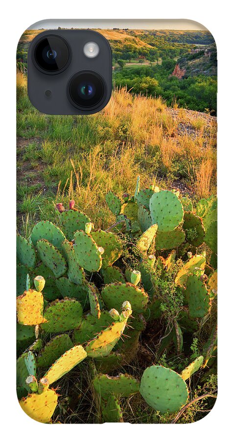Scenics iPhone 14 Case featuring the photograph West Texas Canyon Country At Buffalo by Dszc