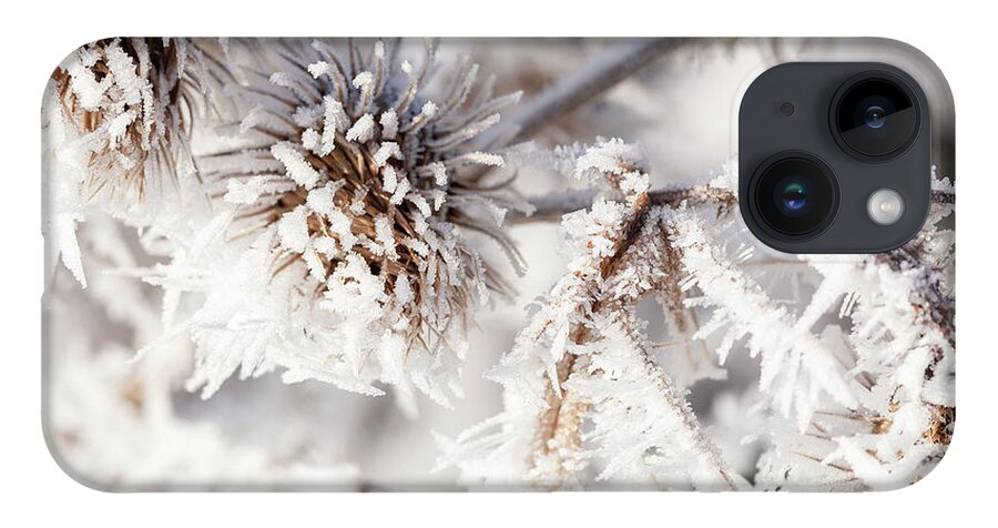 Freezing iPhone 14 Case featuring the photograph Winter frost on a garden thistle close up by Simon Bratt