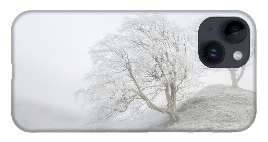 Winter iPhone Case featuring the photograph Sentinels by Anita Nicholson