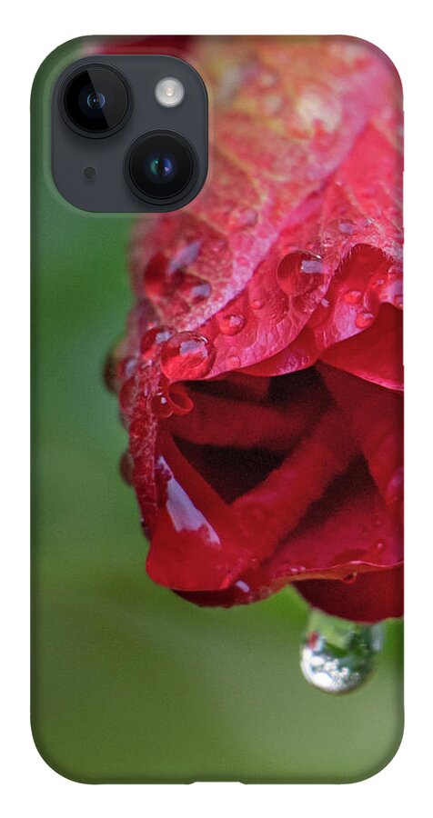 Hibiscus iPhone Case featuring the photograph After the Rain by M Kathleen Warren