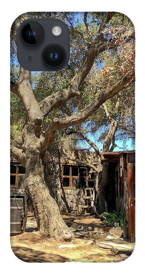 Valle De Guadalupe iPhone 14 Case featuring the photograph Among the Oaks #2 by William Scott Koenig
