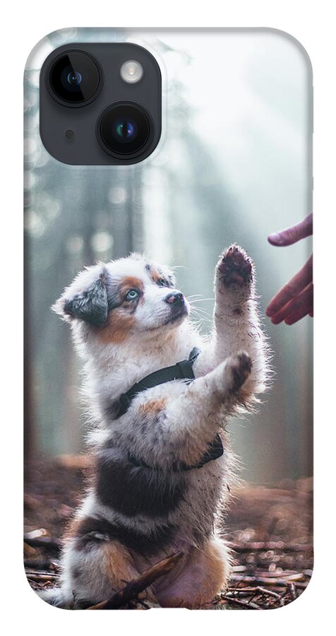 Breed iPhone 14 Case featuring the photograph Australian Shepherd puppy by Vaclav Sonnek