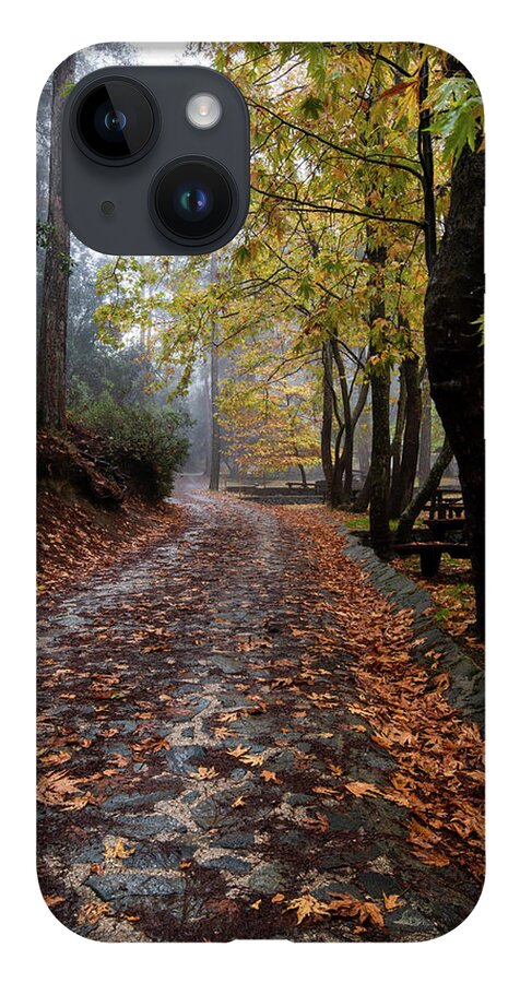 Autumn iPhone Case featuring the photograph Autumn landscape with trees and Autumn leaves on the ground after rain by Michalakis Ppalis