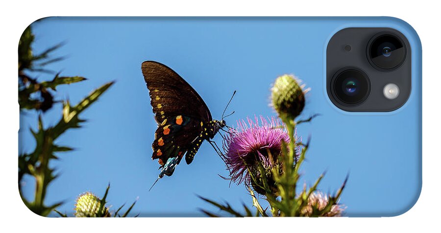 Butterfly iPhone 14 Case featuring the photograph Butterfly by David Beechum