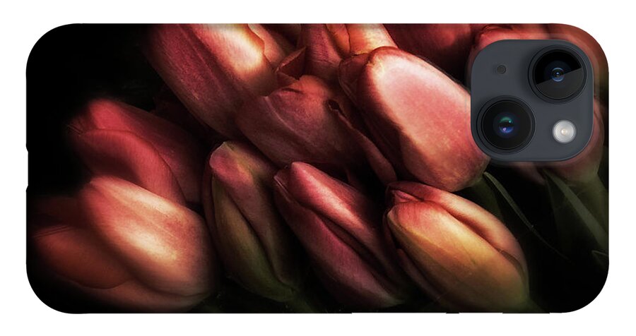 Tulips iPhone 14 Case featuring the photograph Incandescence by Jessica Jenney