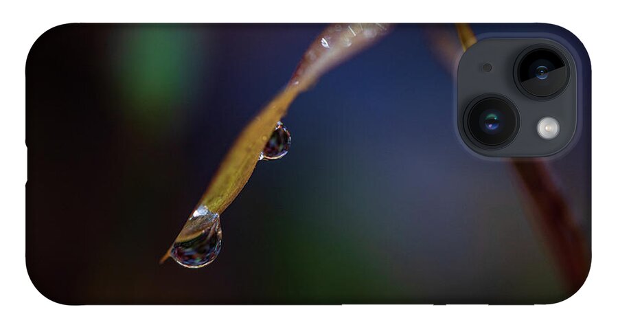 Fall iPhone Case featuring the photograph Macro Photography - Water Drops on Grass by Amelia Pearn