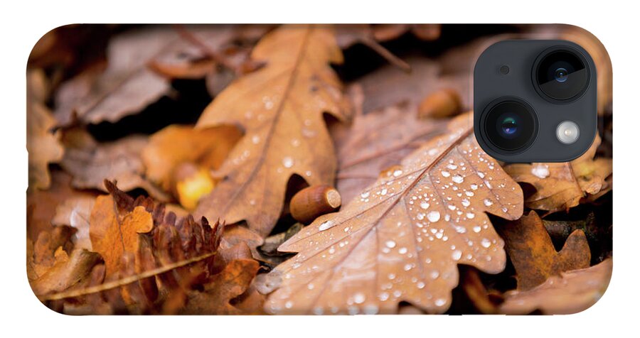 Fall iPhone Case featuring the photograph Oak Leaves and rain drops by Anita Nicholson