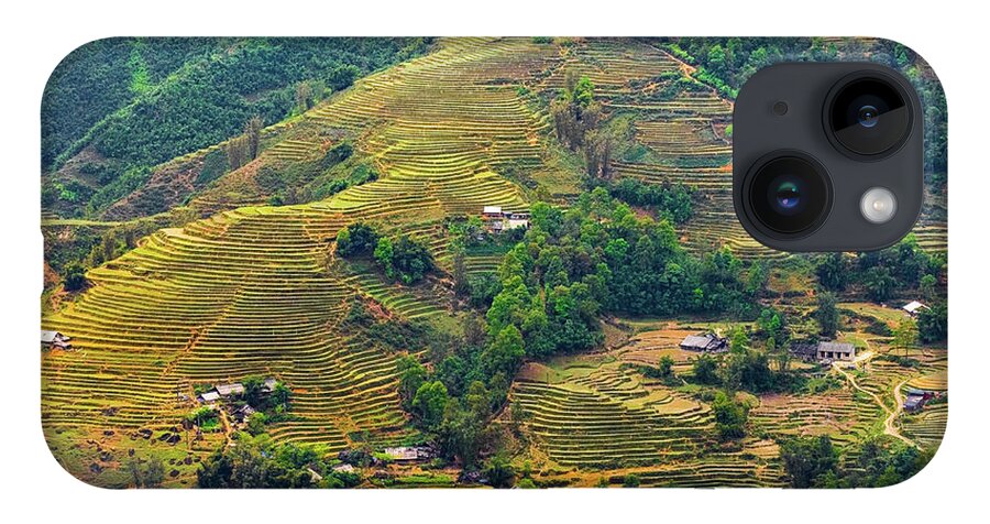 Black iPhone 14 Case featuring the photograph Rice Terraces in Sapa by Arj Munoz