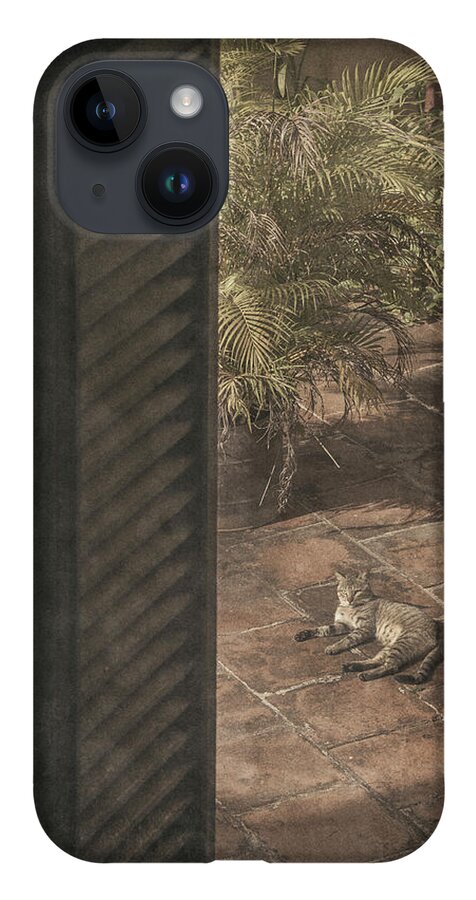 Cat iPhone Case featuring the photograph Royalty by M Kathleen Warren