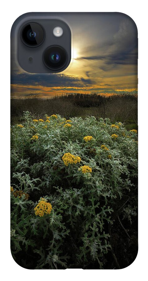  iPhone 14 Case featuring the photograph San Simeon #1 by Lars Mikkelsen