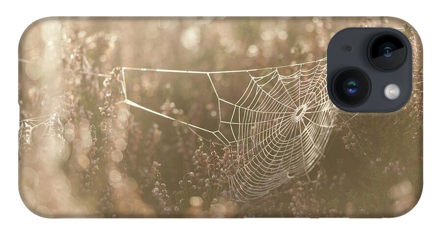 Spider Web iPhone 14 Case featuring the photograph Spider Web by Anita Nicholson
