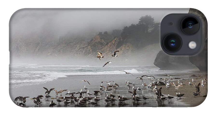  iPhone 14 Case featuring the photograph San Simeon #16 by Lars Mikkelsen