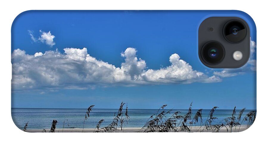  iPhone 14 Case featuring the photograph Naples Beach by Donn Ingemie