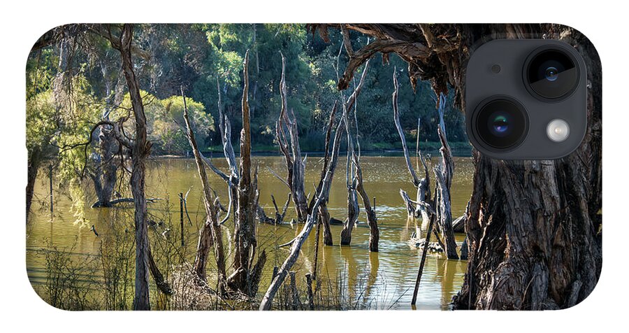 Trees iPhone 14 Case featuring the photograph Eric Singleton Bird Sanctuary, Bayswater, Western Australia #2 by Elaine Teague