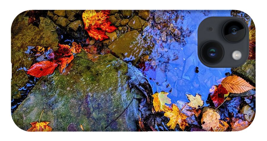  iPhone 14 Case featuring the photograph Fall Leaves by Brad Nellis