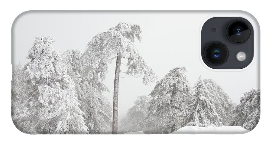 Frozen iPhone 14 Case featuring the photograph Forest landscape in snowy mountains. Snowstorm and frozen snow covered fir trees in winter season. #1 by Michalakis Ppalis