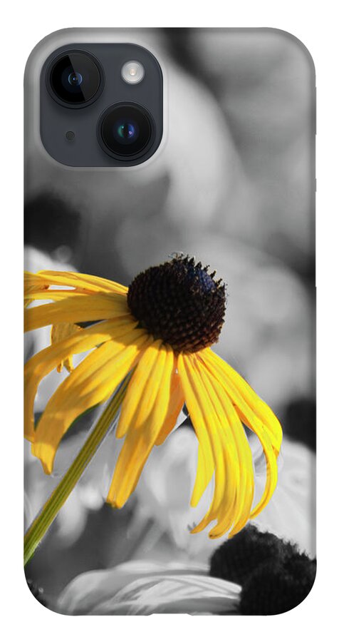 Wildflower iPhone 14 Case featuring the photograph Stand Out #4 by Cathy Kovarik