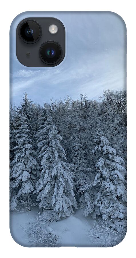  iPhone Case featuring the photograph Winter Wonderland by Annamaria Frost