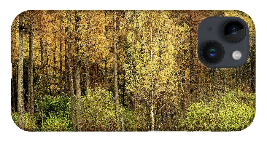 50 Shades Gold Golden Autumn Wonderland Fall Smart Uk Woodland Woods Forest Trees Foliage Leaves Beautiful Birch Crown Beauty Landscape Rich Colors Yellow Delightful Magnificent Mindfulness Serenity Inspirational Serene Tranquil Tranquillity Magic Charming Atmospheric Aesthetic Attractive Picturesque Scenery Glorious Impressionistic Impressive Pleasing Stimulating Magical Vivid Trunks Effective Green Bushes Delicate Gentle Joy Enjoyable Relaxing Pretty Uplifting Poetic Orange Red Fantastic Tale iPhone 14 Case featuring the photograph Fifty Shades Of Gold by Tatiana Bogracheva
