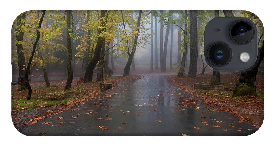 Autumn iPhone 14 Case featuring the photograph Autumn landscape with trees and Autumn leaves on the ground after rain by Michalakis Ppalis