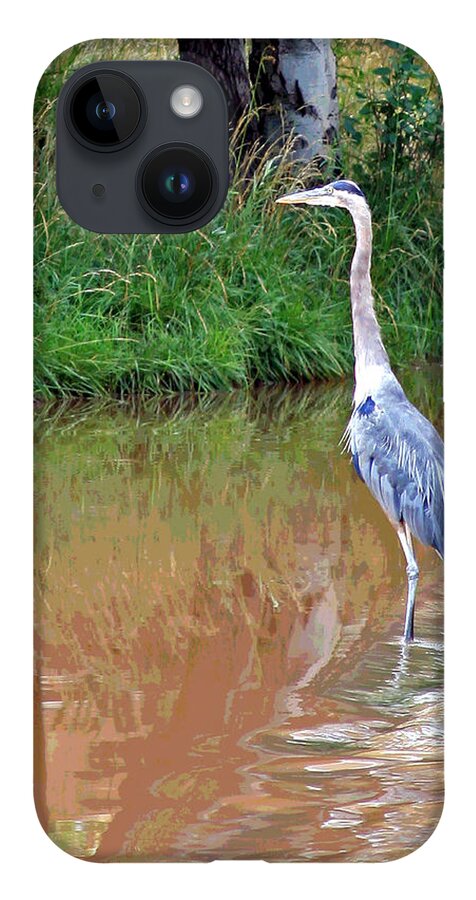 Bird iPhone 14 Case featuring the photograph Blue Heron on the East Verde River by Matalyn Gardner