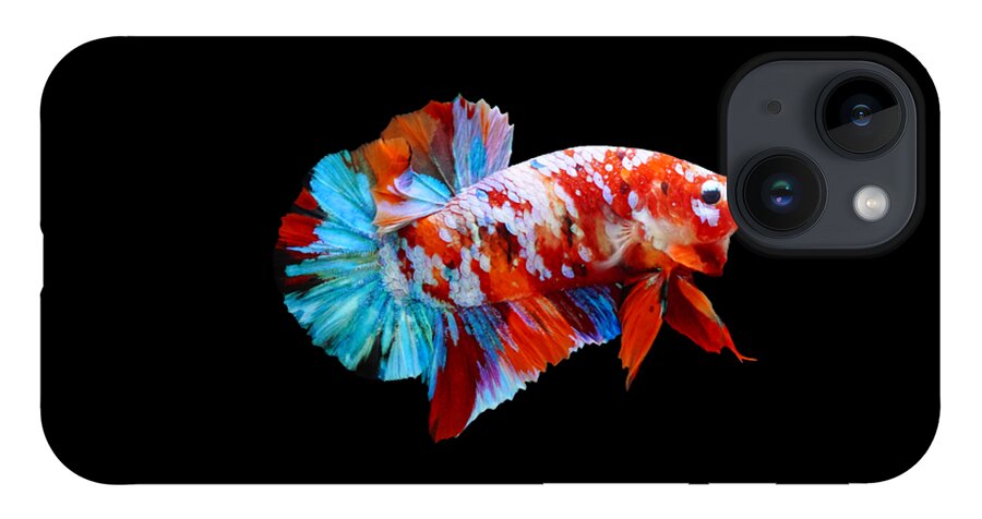 Betta iPhone 14 Case featuring the photograph Multicolor Betta Fish by Sambel Pedes