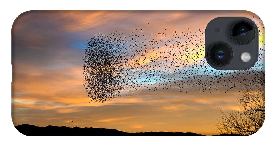 Murmuration iPhone 14 Case featuring the photograph A Blackbird Swarm. by Paul Martin