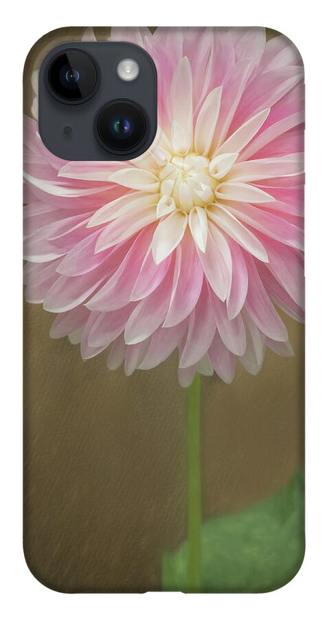 Pink iPhone 14 Case featuring the photograph A Dainty Dahlia by Sylvia Goldkranz