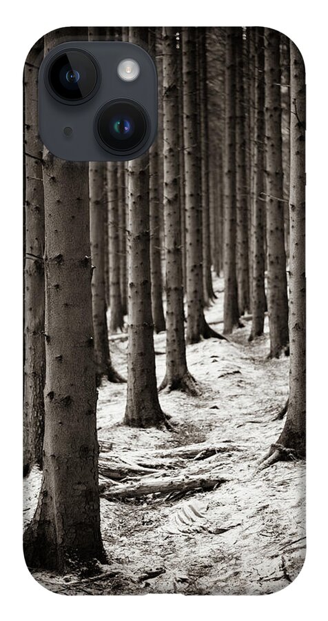 Pine Forest iPhone 14 Case featuring the photograph A dusting of snow by Gavin Lewis