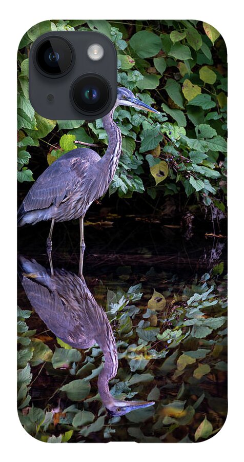 Bronx River iPhone Case featuring the photograph A Great Blue Heron and Its reflection in the Bronx River by Kevin Suttlehan