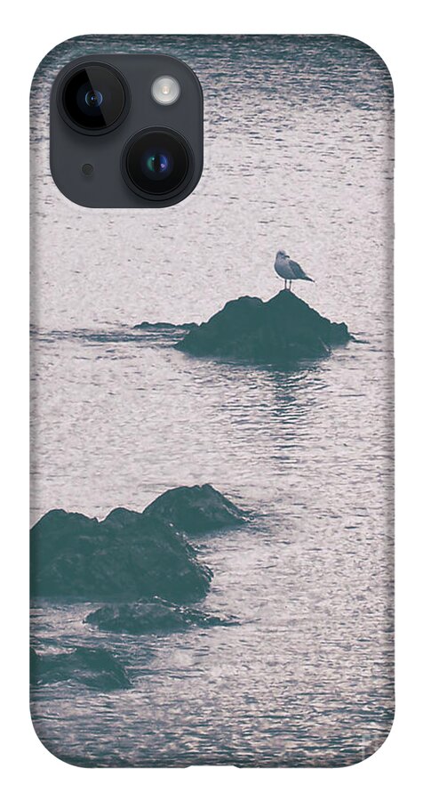 Vintage iPhone 14 Case featuring the photograph A Seagull Rests by Phil Perkins